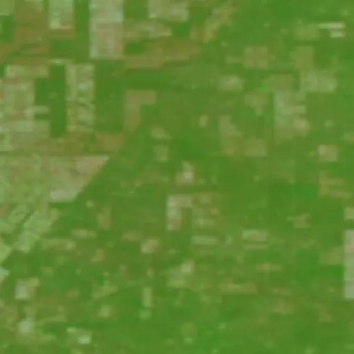 Wildfire near Taco Pozo — NASA satellite