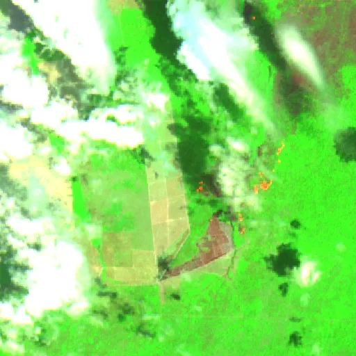 Wildfire near Tailândia (Oct 20) — Sentinel-2 SWIR (fuego)