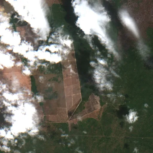 Wildfire near Tailândia (Oct 20) — Sentinel-2 true color