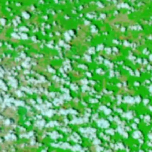 Incendio cerca de Tailândia (22 oct · NE #2) — NASA satellite