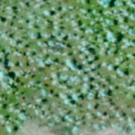 Incendio cerca de Taldora — NASA satellite