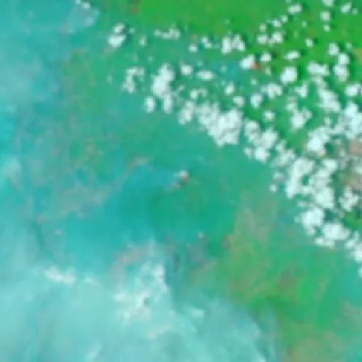 Wildfire near Tamiang Layang — NASA satellite