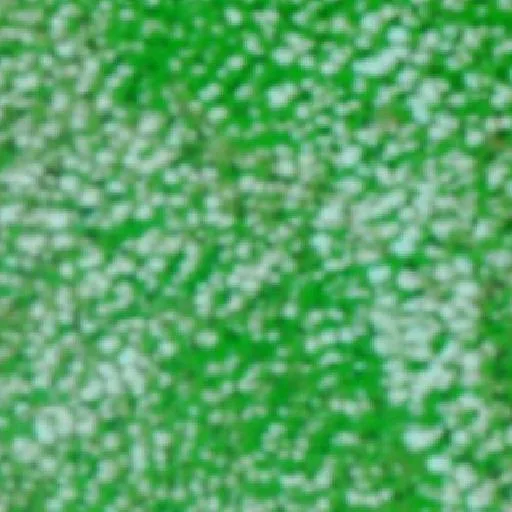 Wildfire near Tancredo Neves — NASA satellite