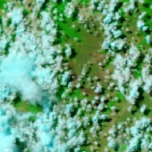 Incendio cerca de Tangará da Serra (28 jul) — NASA satellite