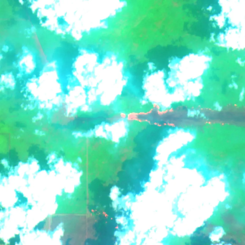 Incendio cerca de Tanjung Lubuk (9 oct) — Sentinel-2 SWIR (fuego)