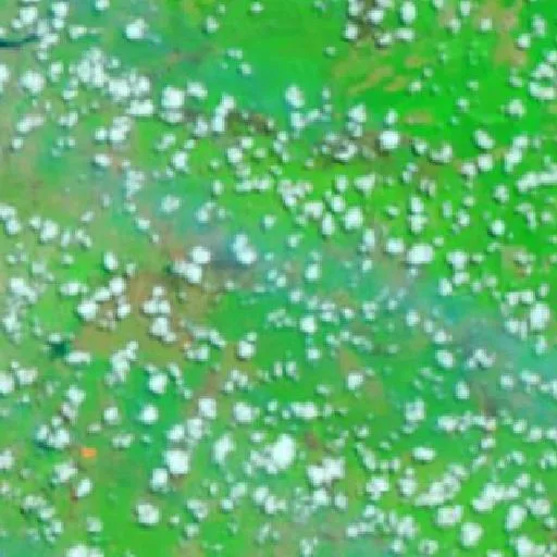 Incendio cerca de Tanjung Lubuk — NASA satellite