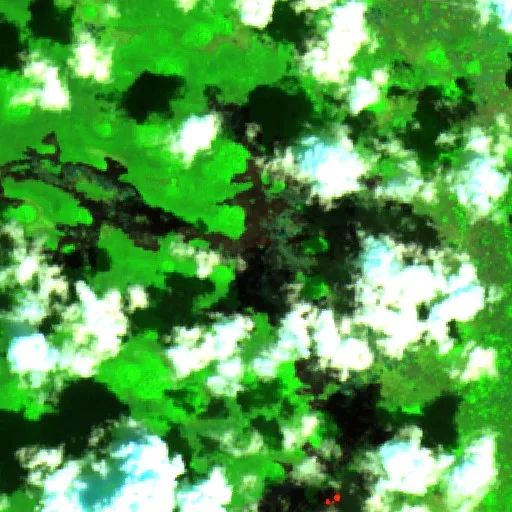 Wildfire near Tankuché — Sentinel-2 SWIR (fuego)