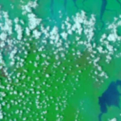 Incendio cerca de Tanusan (18 oct) — NASA satellite