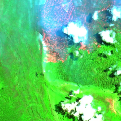 Incendio cerca de Tanusan — Sentinel-2 SWIR (fuego)