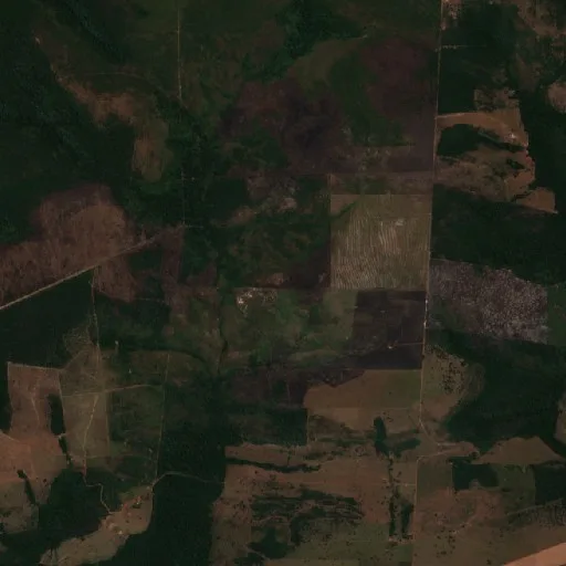 Incendio cerca de Tapaiuna — Sentinel-2 true color