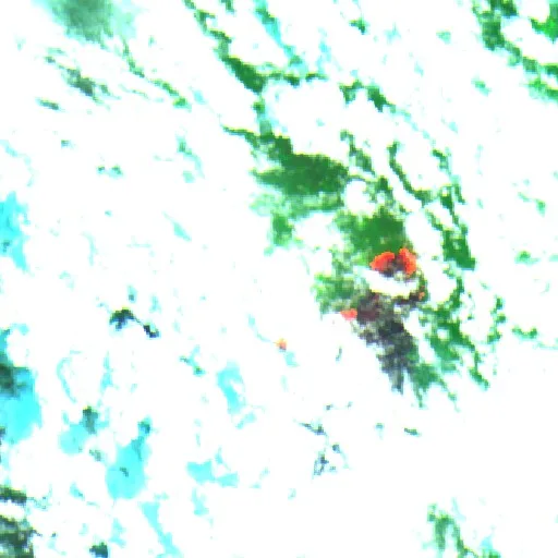 Wildfire near Tapera do Rocha (Sep 14) — Sentinel-2 SWIR (fuego)