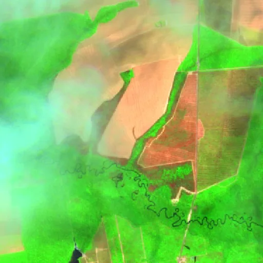 Wildfire near Tapurah — Sentinel-2 SWIR (fuego)