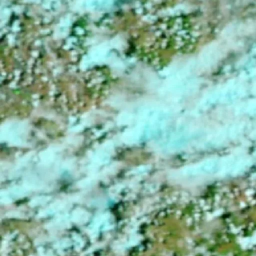 Incendio cerca de Tara — NASA satellite