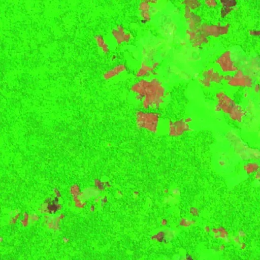 Incendio cerca de Tarauacá (31 ago) — Sentinel-2 SWIR