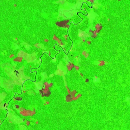 Wildfire near Tarauacá (Sep 11) — Sentinel-2 SWIR