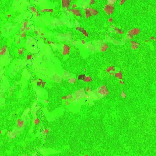 Incendio cerca de Tarauacá (30 ago) — Sentinel-2 SWIR