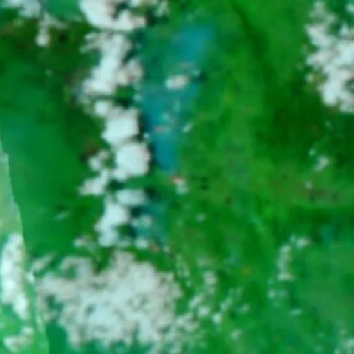 Wildfire near Tari (Oct 17 · E) — NASA satellite