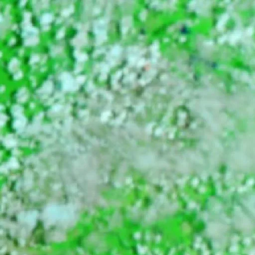 Wildfire near Tartarugalzinho (Sep 23) — NASA satellite