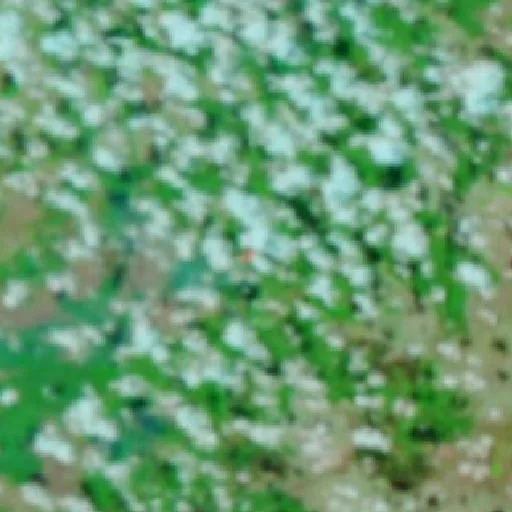 Incendio cerca de Tasso Fragoso (9 oct · NE) — NASA satellite