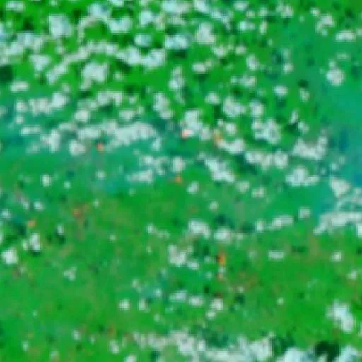 Incendio cerca de Tauari — NASA satellite
