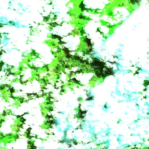 Taylors Flat Bushfire — Sentinel-2 SWIR (fuego)
