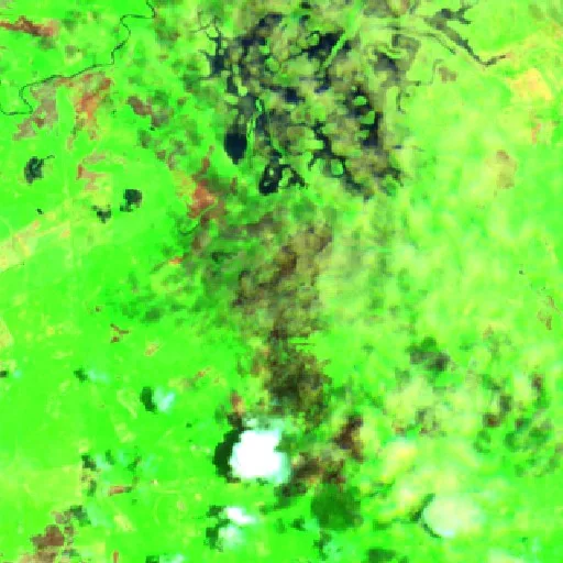 Incendio cerca de Teapa — Sentinel-2 SWIR (fuego)