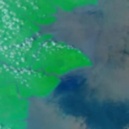Wildfire near Teluk Pinang — NASA satellite