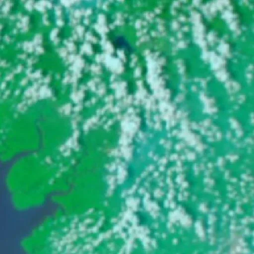 Wildfire near Teminabuan — NASA satellite