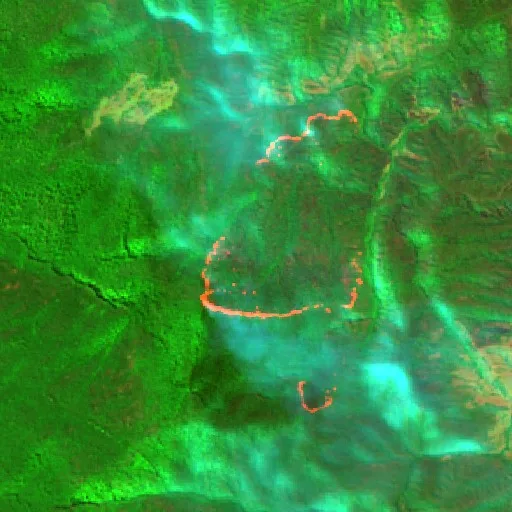 Wildfire near Tenterfield — Sentinel-2 SWIR (fuego)