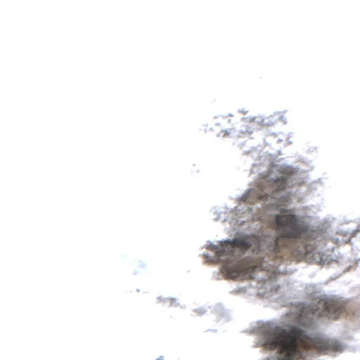 Wildfire near Tepe — Sentinel-2 true color