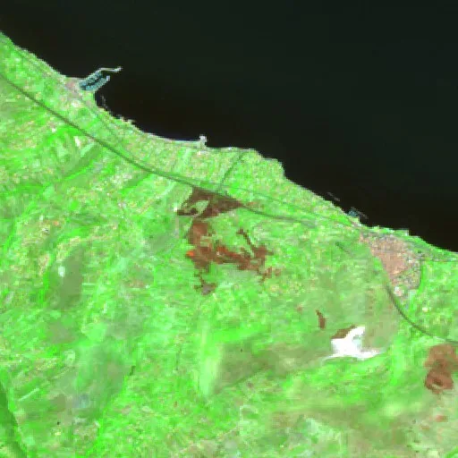Wildfire near Termini Imerese — Sentinel-2 SWIR (fuego)