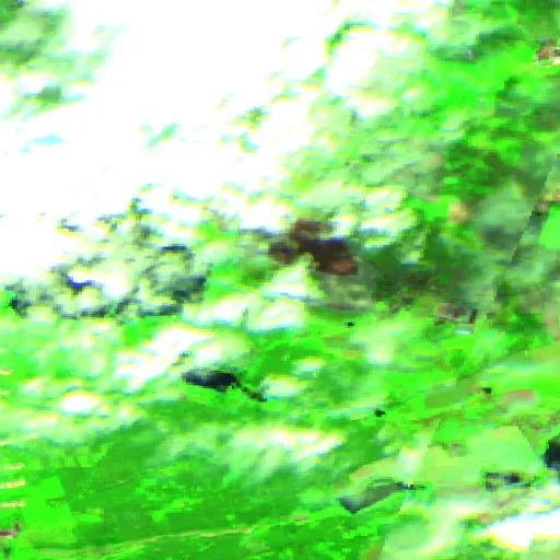Wildfire near Thiendorf — Sentinel-2 SWIR (fuego)