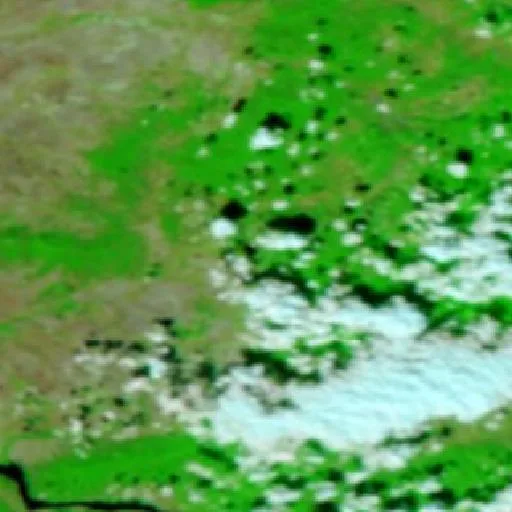Wildfire near Ticvaniu Mare — NASA satellite