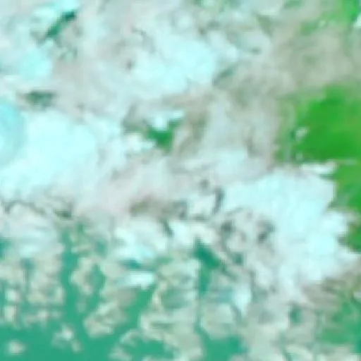 Wildfire near Tiom — NASA satellite