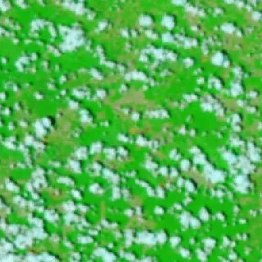 Wildfire near Tomé-Açu — NASA satellite