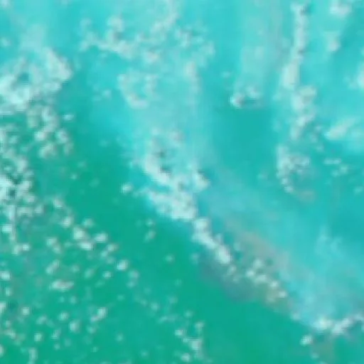Wildfire near Tongkiling (Oct 5) — NASA satellite