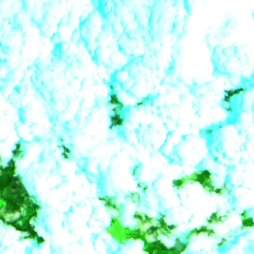 Wildfire near Tower Hill — Sentinel-2 SWIR (fuego)