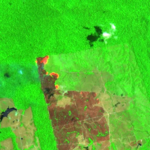 Wildfire near Trairão (Sep 12) — Sentinel-2 SWIR (fuego)