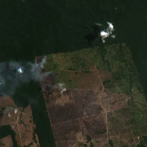 Wildfire near Trairão (Sep 12) — Sentinel-2 true color