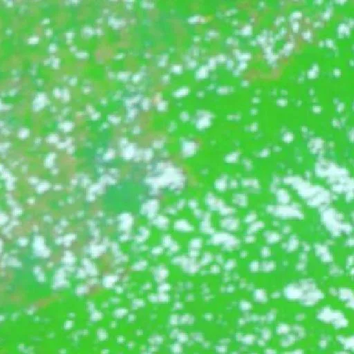 Incendio cerca de Trairão (9 oct) — NASA satellite