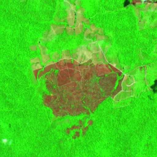 Wildfire near Trairão (Aug 30) — Sentinel-2 SWIR (fuego)