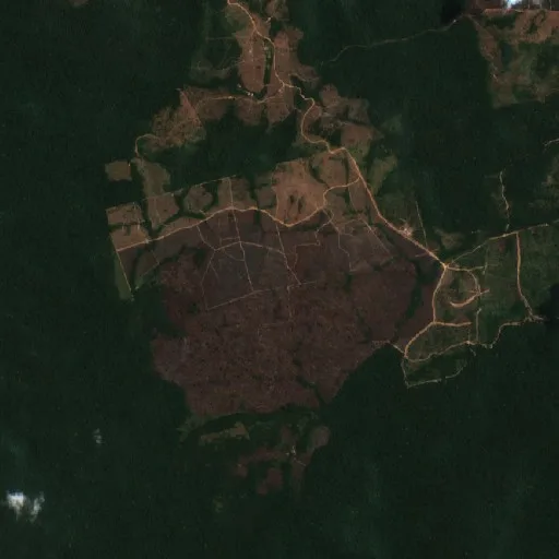 Wildfire near Trairão (Aug 30) — Sentinel-2 true color