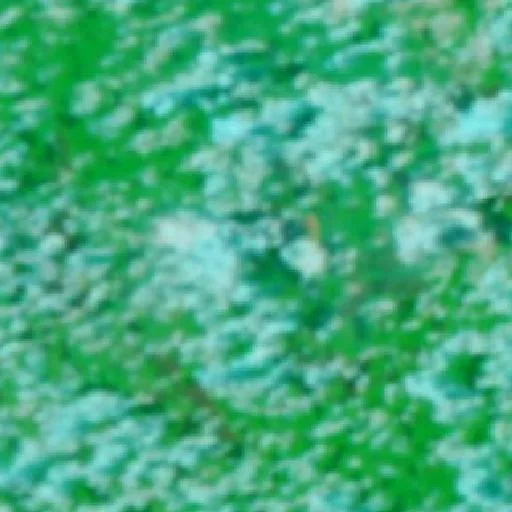 Wildfire near Tucumã — NASA satellite