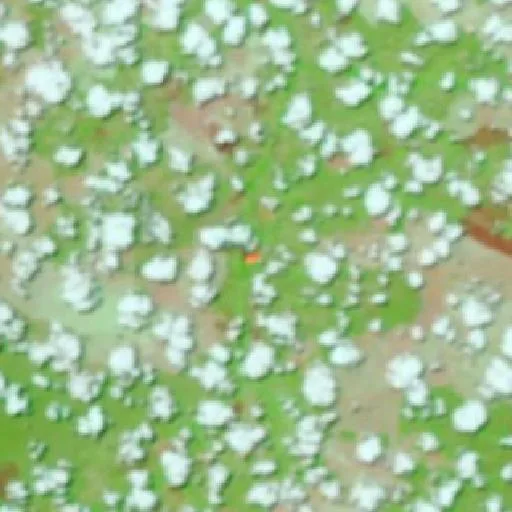 Incendio cerca de Tucuns — NASA satellite
