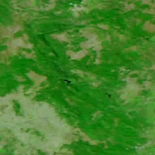 Wildfire near Tuéjar — NASA satellite