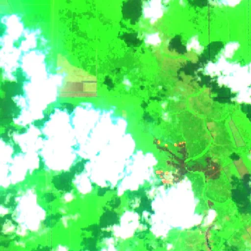 Wildfire near Tulung Selapan (Sep 23) — Sentinel-2 SWIR (fuego)