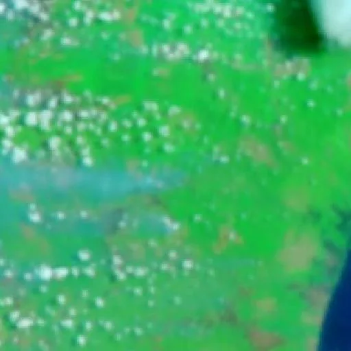 Wildfire near Tulung Selapan (Sep 29 · S) — NASA satellite