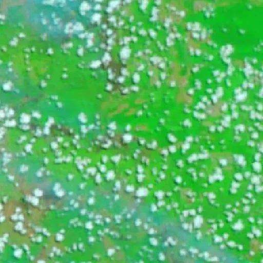 Incendio cerca de Tulung Selapan — NASA satellite