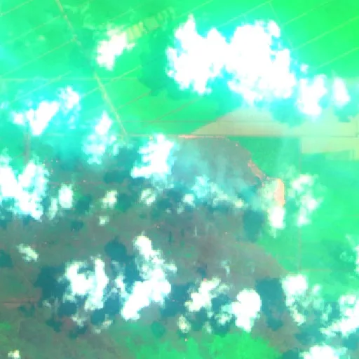 Incendio cerca de Tulung Selapan (18 sep) — Sentinel-2 SWIR (fuego)