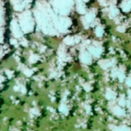 Incendio cerca de Turkey Lagoon Yard — NASA satellite